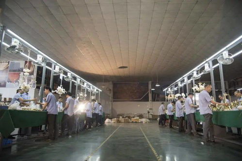 光影新境，幸福為燈 艾摩燈3.0極簡輕奢展廳與大師設計的共鳴