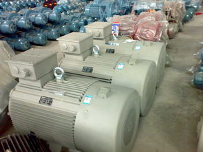 西門(mén)子1LG0系列變頻電機(jī) 批發(fā)價(jià)格、廠家信息與產(chǎn)品優(yōu)勢(shì)全解析